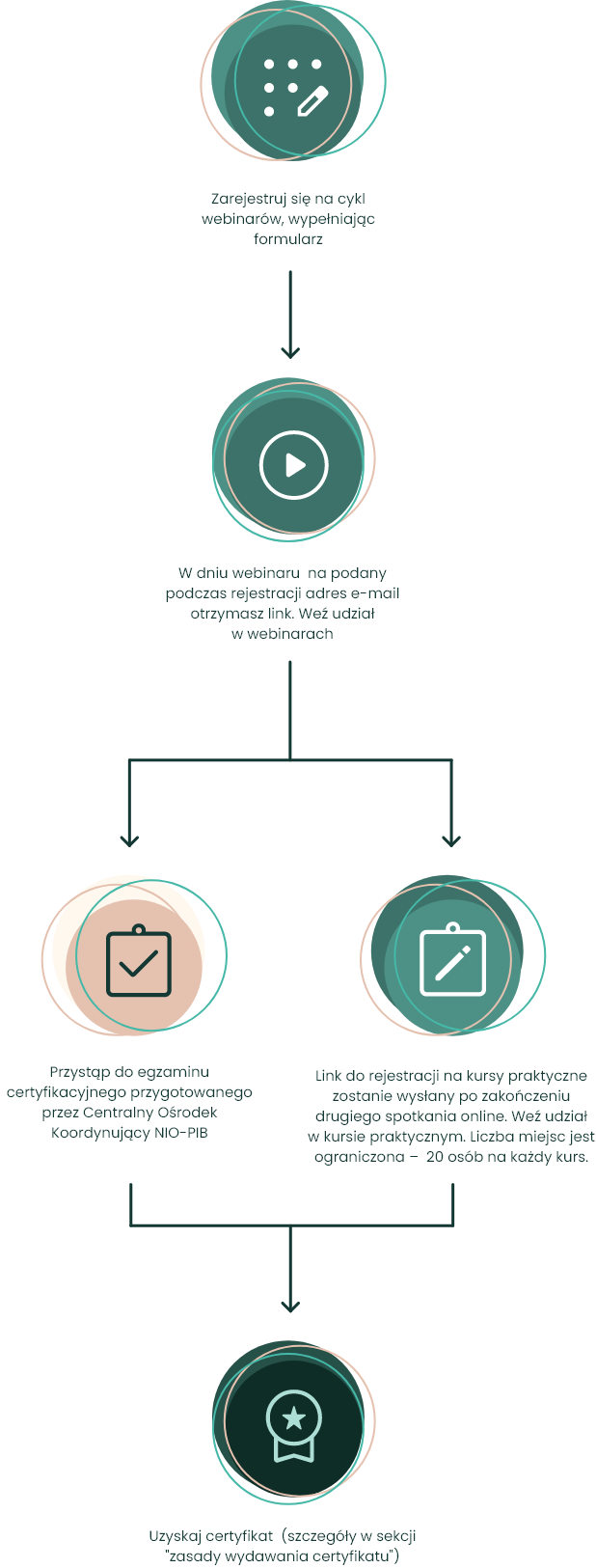 AK PTGiP - infografika2 przebieg cyklu web Akademia Kolposkopii PTGIP Przebieg cyklu